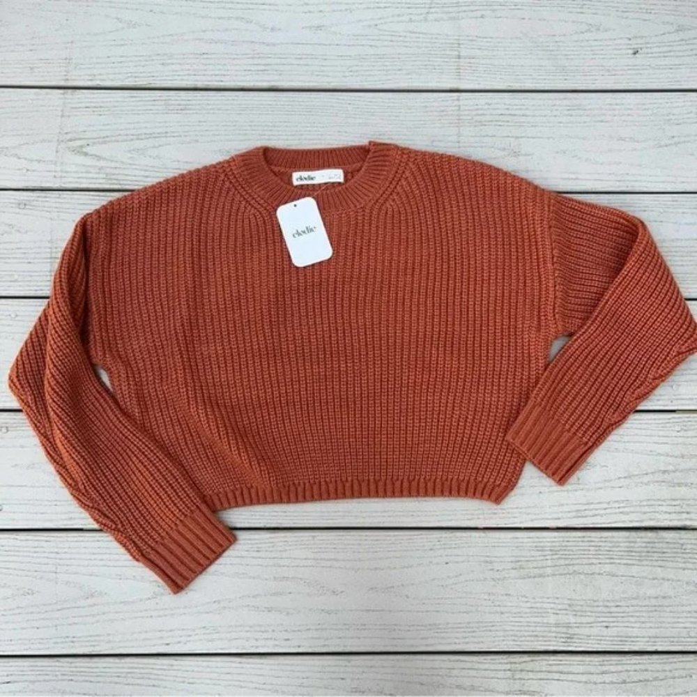 Elodie NWT Women's Rust Crewneck Cropped Long Sleeve Chunky Knit Sweater Large - Picture 2 of 4